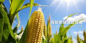 LOL官网-?~滴zif1|惁麁n尯??&amp;?橺gy(は和が一起使用)